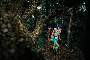 BIB: 
                            <button type="button" onclick="openModal(25694030)" class="btn btn-primary btn-sm float-right btn-popup" data-toggle="modal" data-target=".modal-high-quality">
                        <i class="fas fa-shopping-cart"></i> Add to Cart
                    </button>
                                            <button type="button" onclick="isThisMe(25694030, true)" class="btn btn-success btn-sm float-right btn-popup btn-isme hidden" data-toggle="tooltip" data-placement="bottom" title="นี่คือรูปของคุณใช่ไหม คลิกที่นี่เพื่อเอาเข้าอัลบั้ม">
                        <i class="fas fa-plus"></i> Add to album
                    </button>
                    <button type="button" onclick="isThisMe(25694030, false)" class="btn btn-warning btn-sm float-right btn-popup btn-isnotme hidden">
                        <i class="fas fa-ban"></i> Remove from album
                    </button>